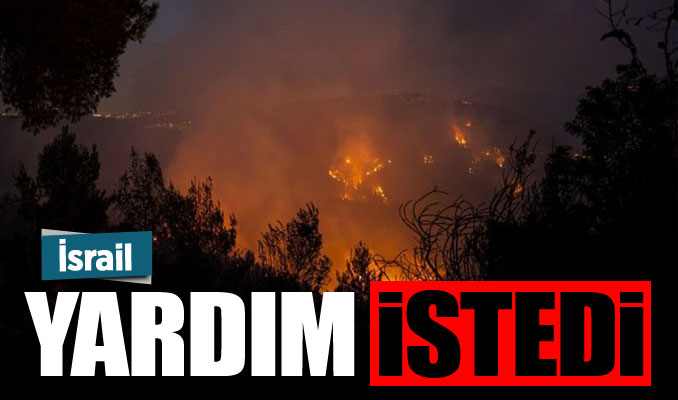 Batı Kudüs'te orman yangını: İsrail yardım istedi 