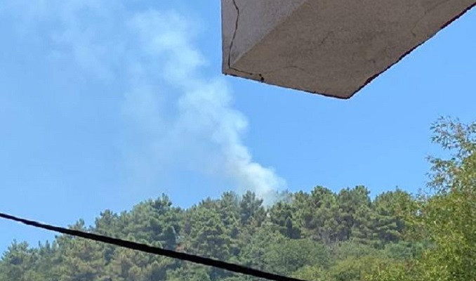 Beykoz'da ormanlık alanda yangın