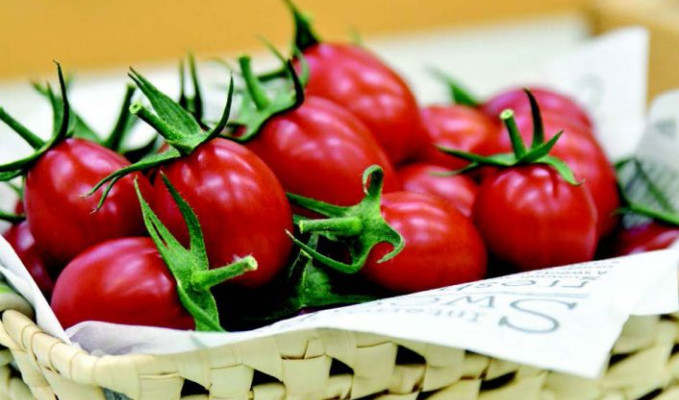 Japonya'da genetiğiyle oynanmış domatesler satışa çıktı