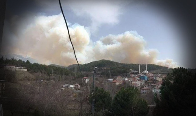 Bursa'da ormanlık alanda yangın!