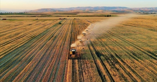 Tarım ÜFE'de artış sürüyor