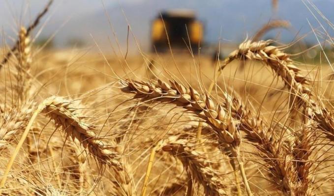 Ukrayna Tarım Bakanından küresel fiyat artışları uyarısı