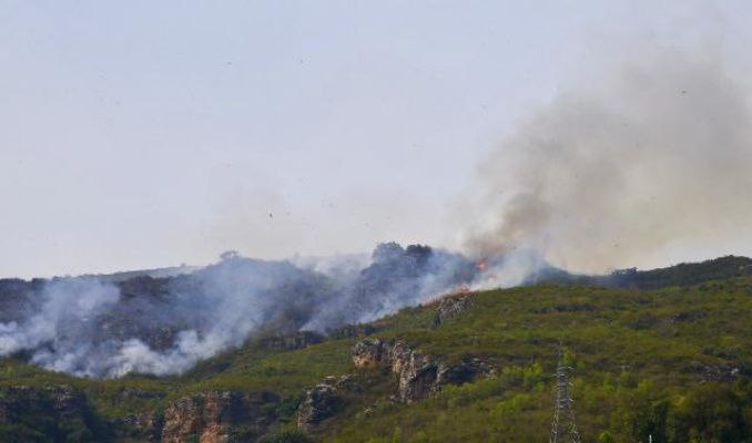 Pakistan'da orman yangını 4 can aldı
