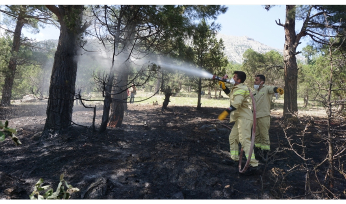 Adana'da kundaklama şüphesi olan orman yangınlarıyla ilgili bir tutuklama