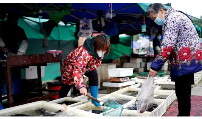 COVID-19'un merkezi üssü: Wuhan  hayvan pazarı