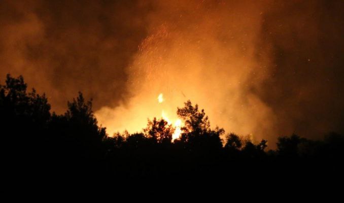 Avrupa'da iklim değişikliği orman yangınlarına neden oluyor