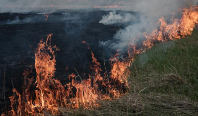 Rusya'da orman yangını 19 bin 280 hektarlık alan kül oldu