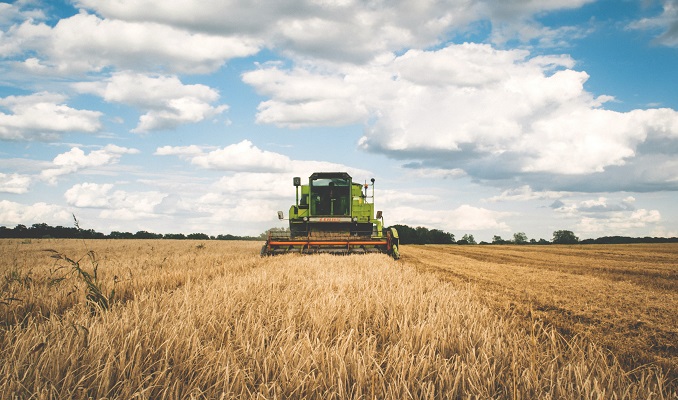 Tarımda üretici enflasyonu ağustosta  yüzde 3.83 arttı