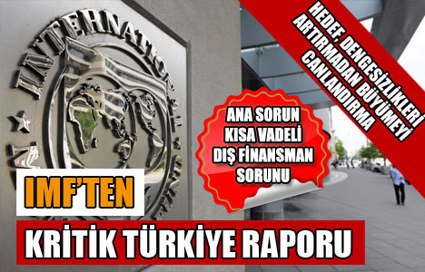 IMF'ten Türkiye raporu