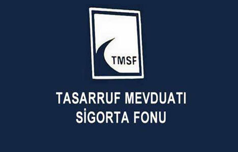 TMSF 100 milyon dolar ödedi