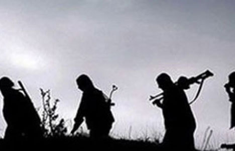 PKK Diyarbakır'da 2 kişiyi kaçırdı