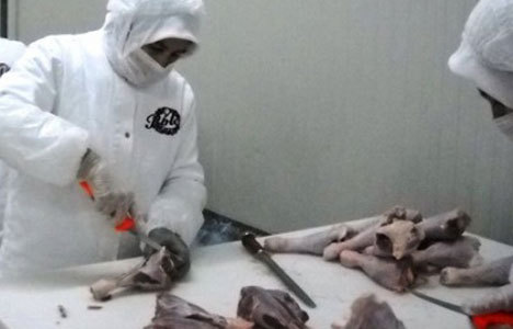 Ayrıştırılmış etler Rusya pazarına