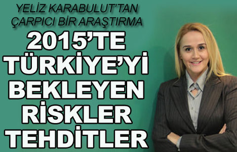 2015 Türkiye için nasıl bir yıl olacak