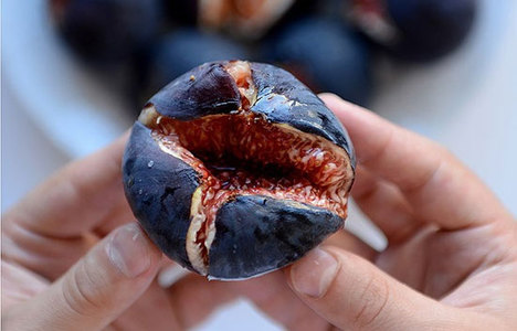 Türkiye incir üretiminde 'Dünya lideri'