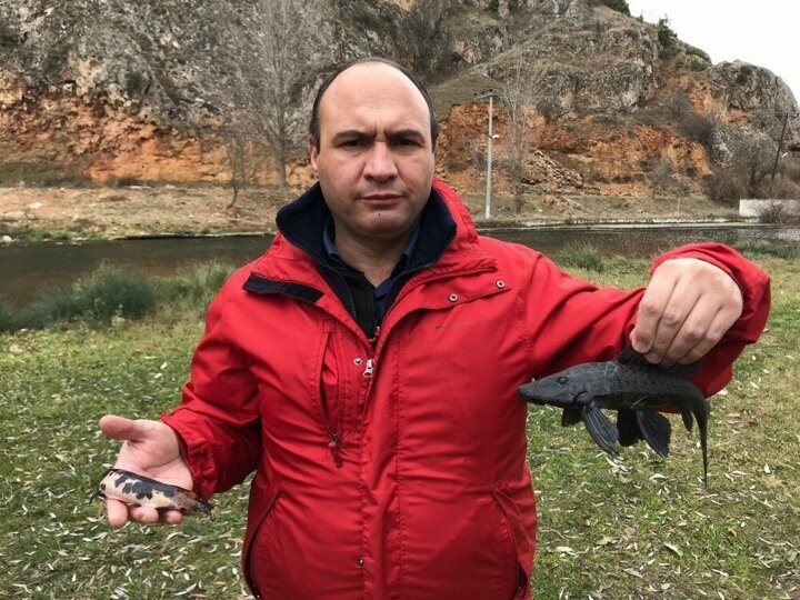 Karada yürüyebilen canavar balık Türkiye'de