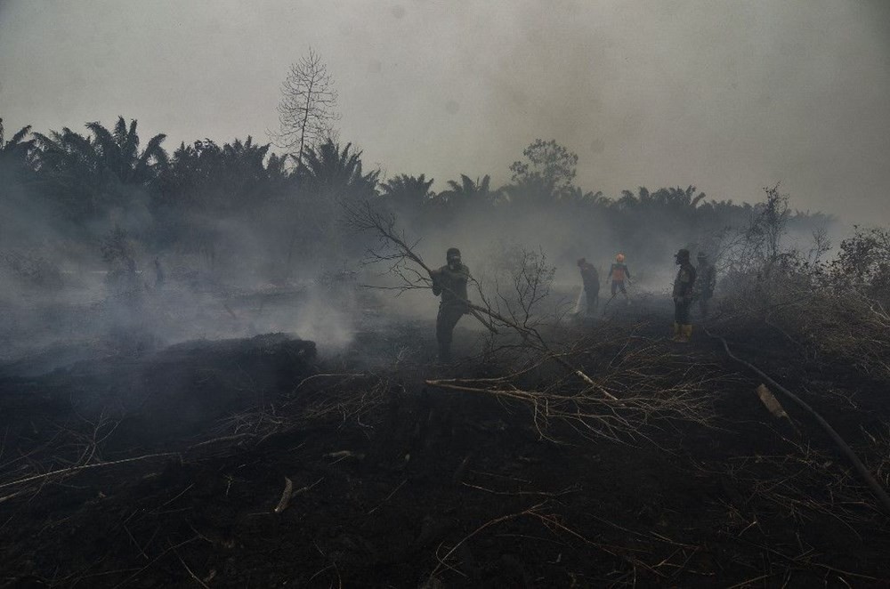 Endonezya yangınlar için yapay yağmur yağdıracak