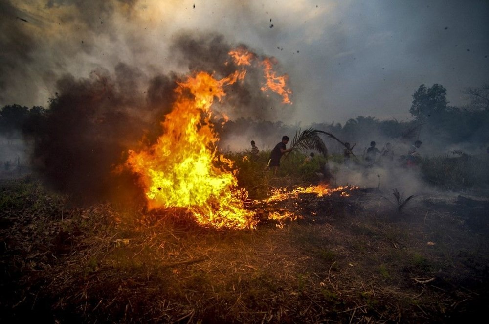 Endonezya yangınlar için yapay yağmur yağdıracak