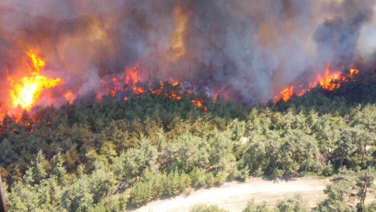 Gelibolu'daki orman yangınına havadan müdahale yeniden başladı
