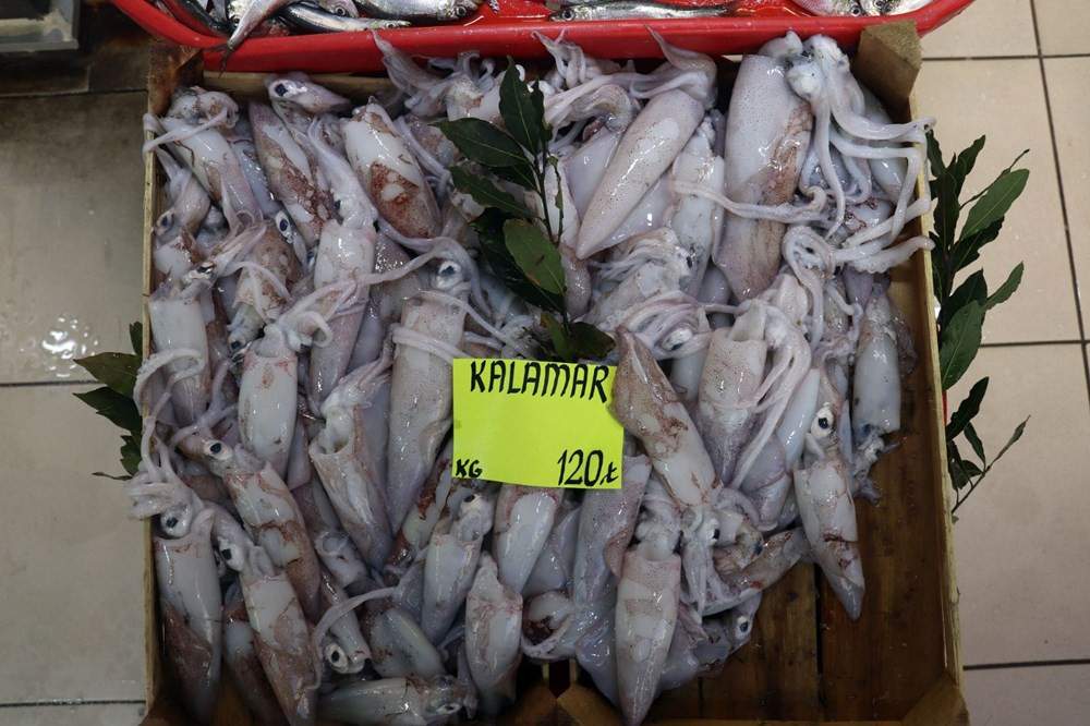 Çanakkale’de havalar ısındı balık tezgahları doldu