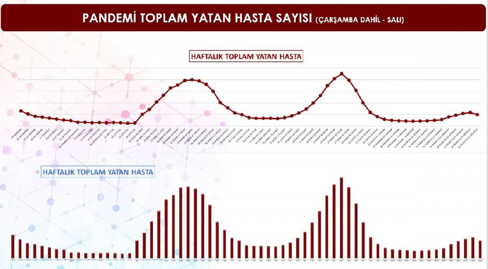 İstanbul'un aşı raporu: En fazla Kadıköy, en az Sultanbeyli...