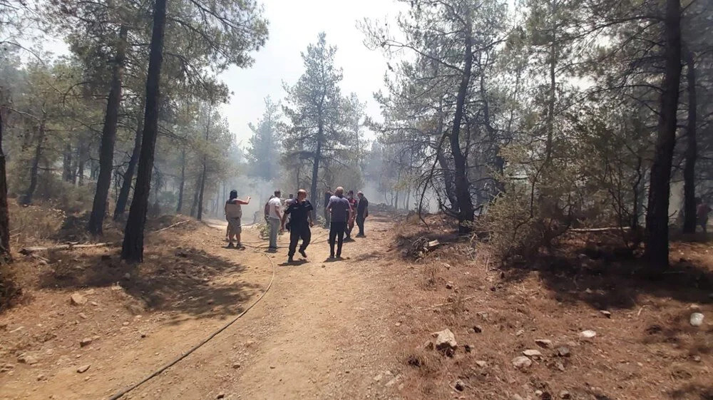 Datça'daki orman yangını kontrol altına alındı!
