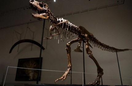 Dinozor iskeleti 6 milyon dolara satıldı
